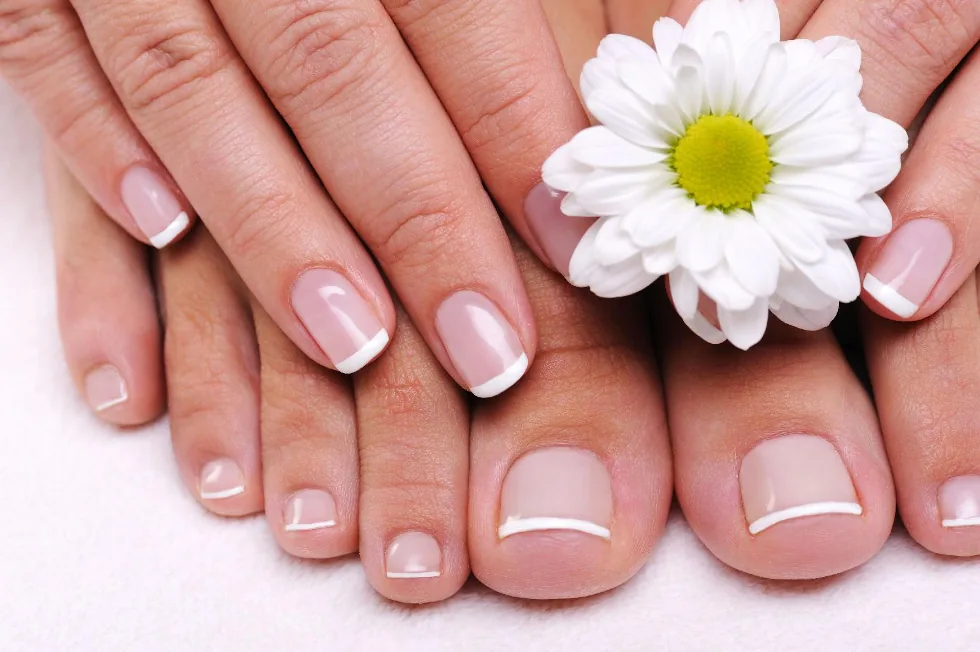 Estetica